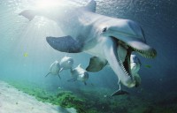 /album/dolfijnenblog/dieren-achtergrond-met-dolfijnen-onder-water-jpg/