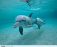 /album/fotogalerij-startpagina/a0c685dcea00989c24e3fd2f7cf578dd2-jpg1/