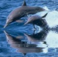 /album/fotogalerij-startpagina/image-1-jpg/